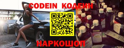 хмурый Кингисепп