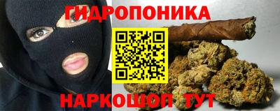 спиды Кандалакша