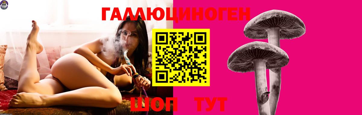Галлюциногенные грибы Psilocybe Аксай